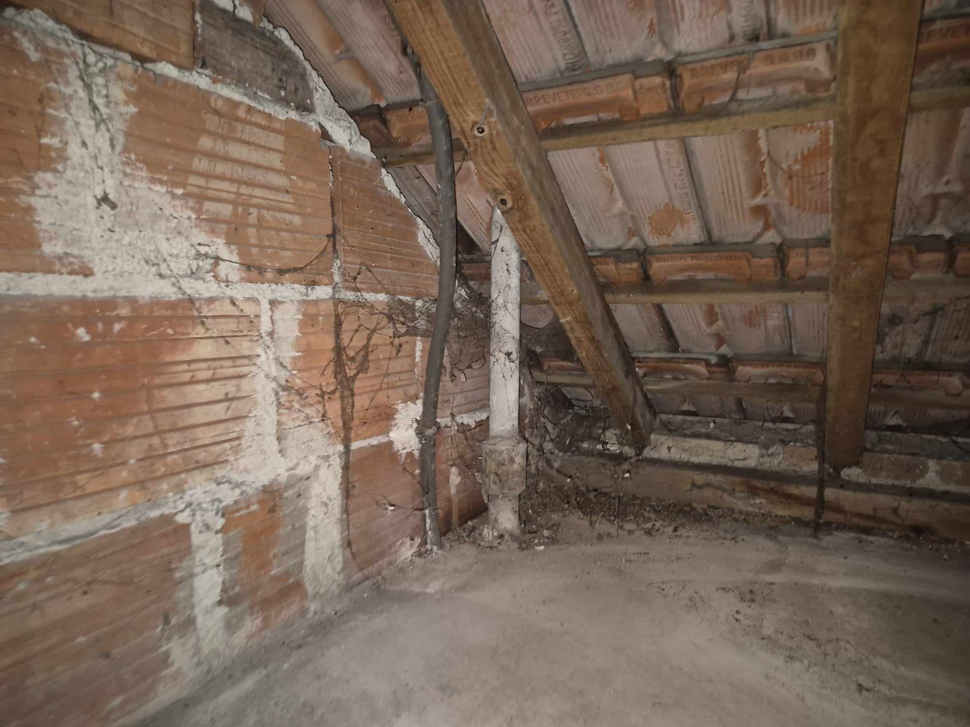 Photo d'un comble non isolé.